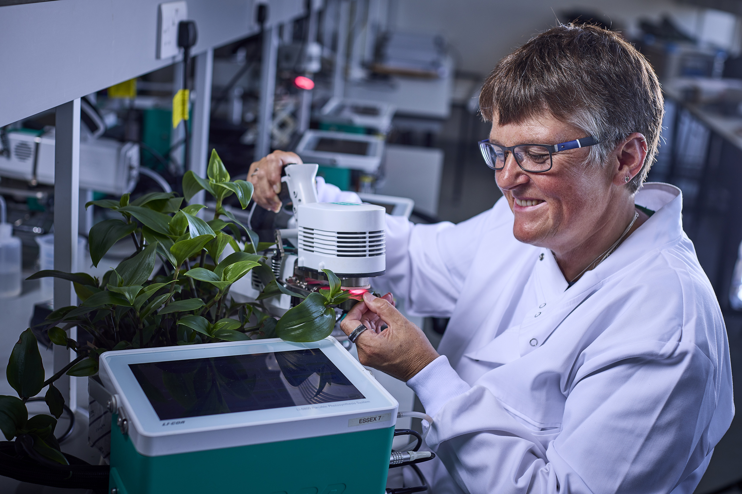 Professor Tracy Lawson